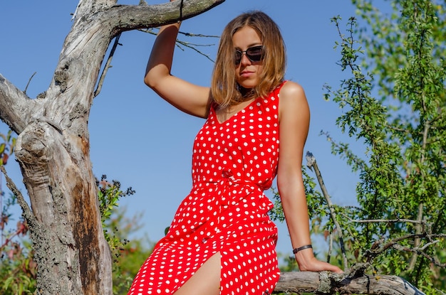sukienka felicia wisienki 2