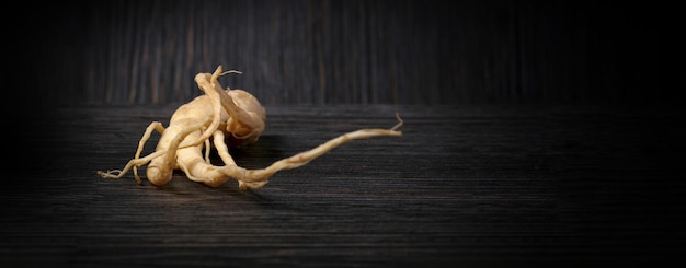 Na co dobry jest żeń szeń i kiedy warto po niego sięgnąć?